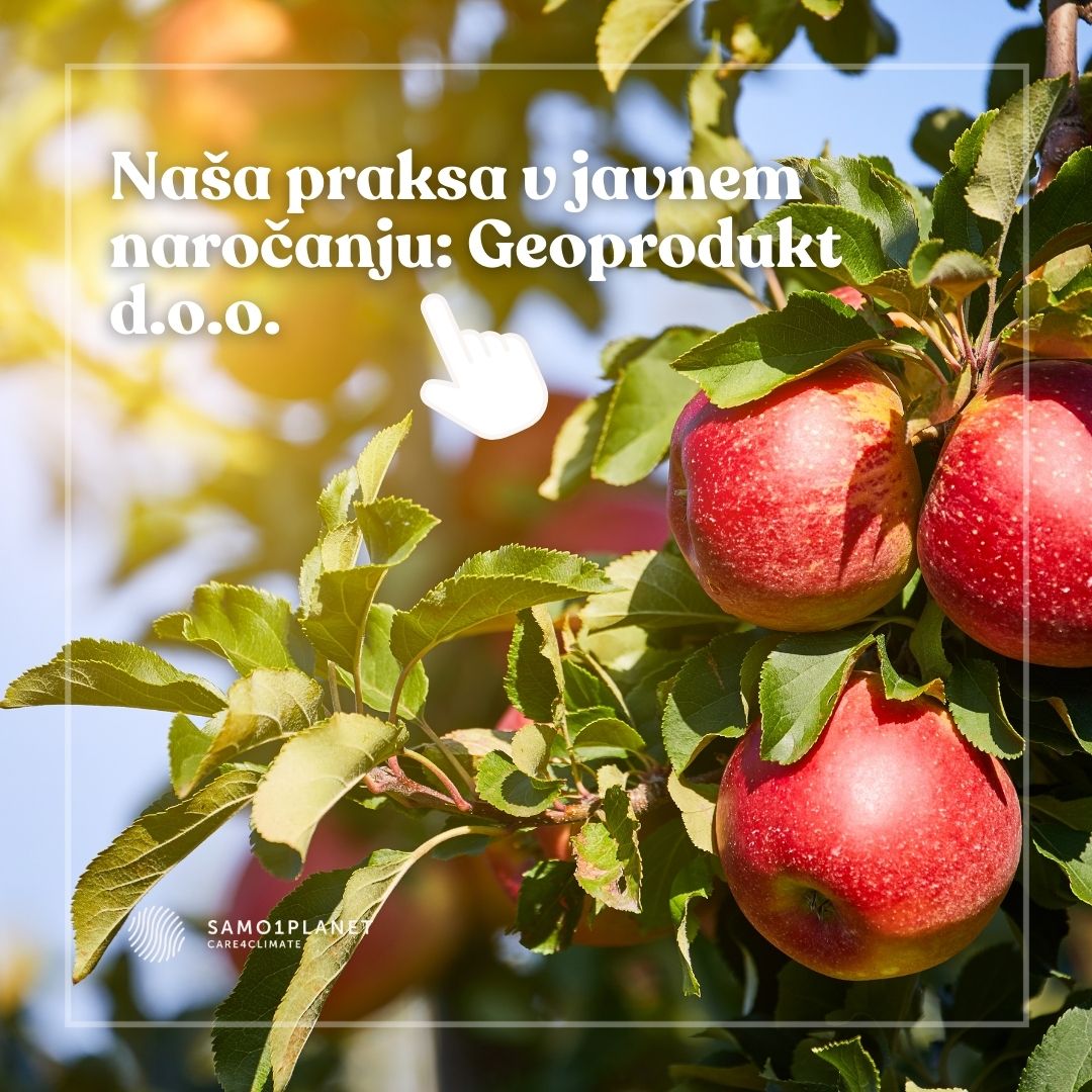 Za isto mizo – izkušnje naročnikov in ponudnikov v javnem naročanju živil