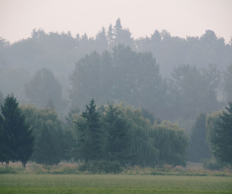 Izdelek brez naslova (34)