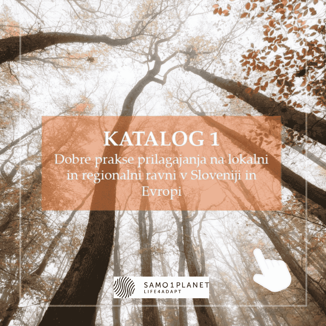 Dobre prakse prilagajanja na lokalni in regionalni ravni v Sloveniji in Evropi